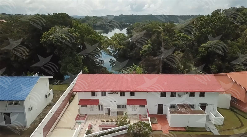 揭秘合成樹脂瓦的致命缺點(diǎn)：你不得不知的三個(gè)問題